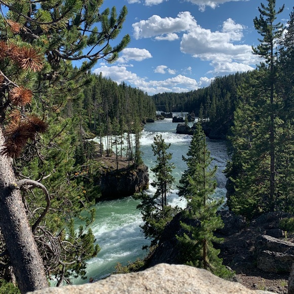 Gal Meets Glam Dresses & Skirts - reserved for t.j.